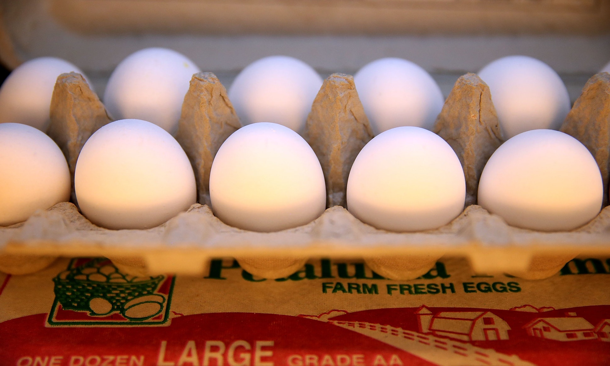More Than 200 Million Eggs Recalled Over Salmonella Fears